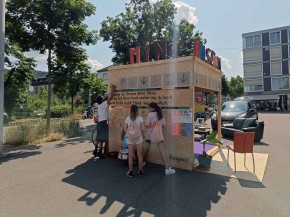 Mini-Zine-Library